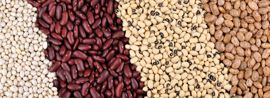 How to store dried beans, the organic guide